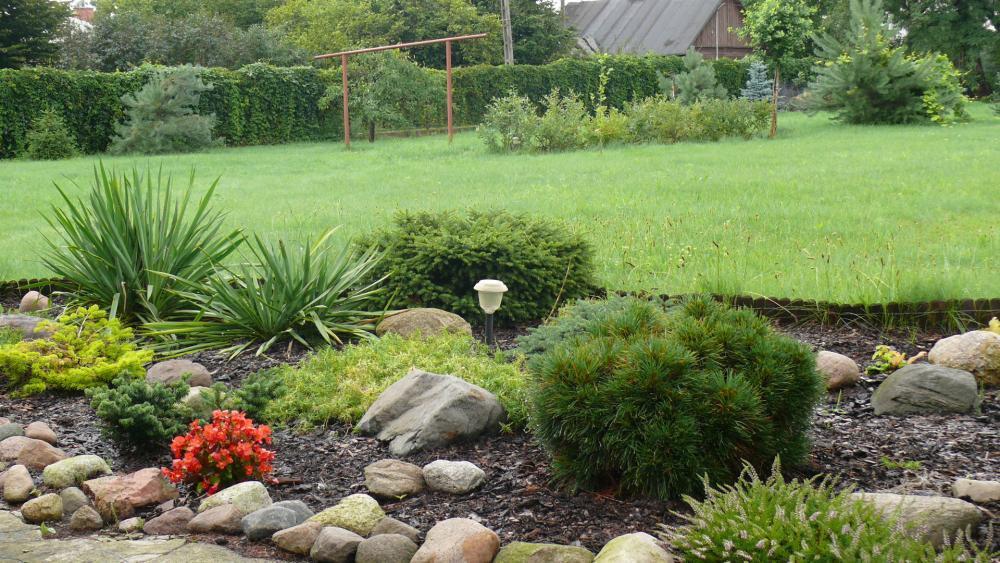 lato w ogrodzie, zdjęcie 10