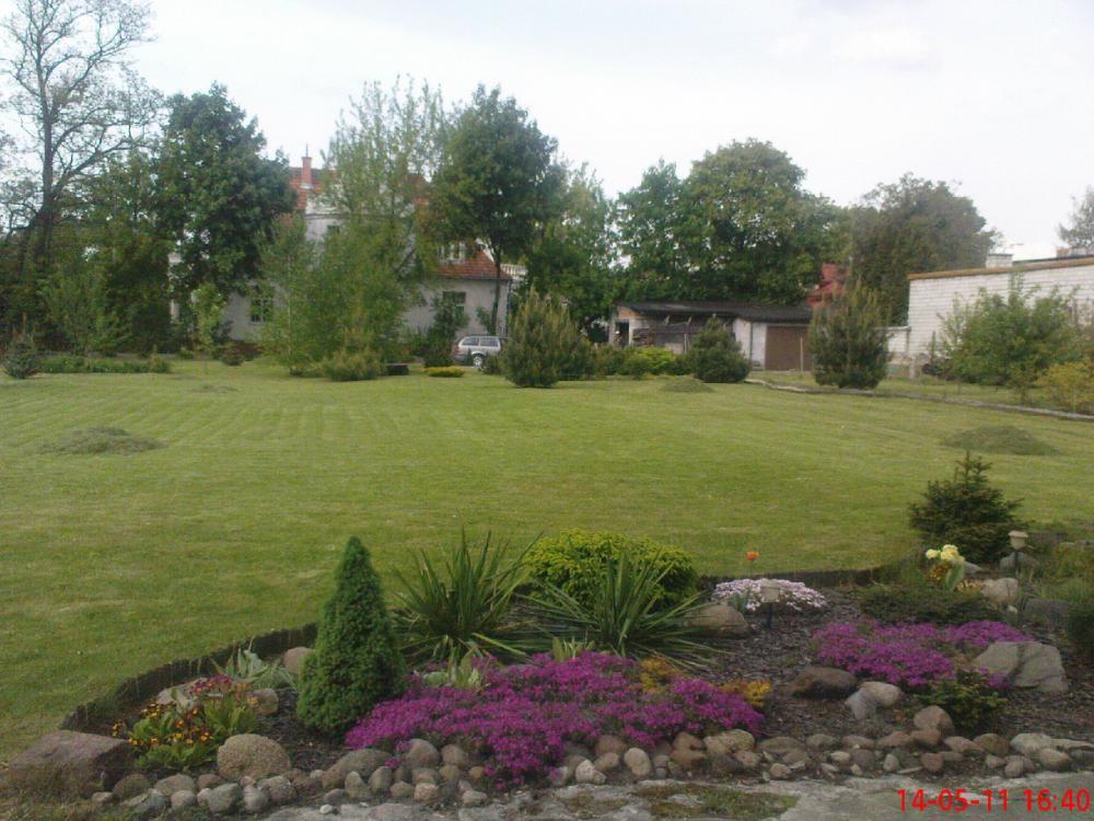 Maj w ogrodzie, zdjęcie 2