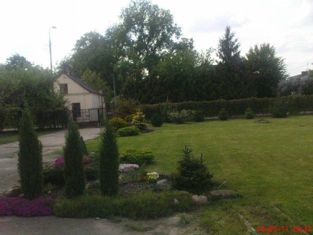 Maj w ogrodzie, zdjęcie 5