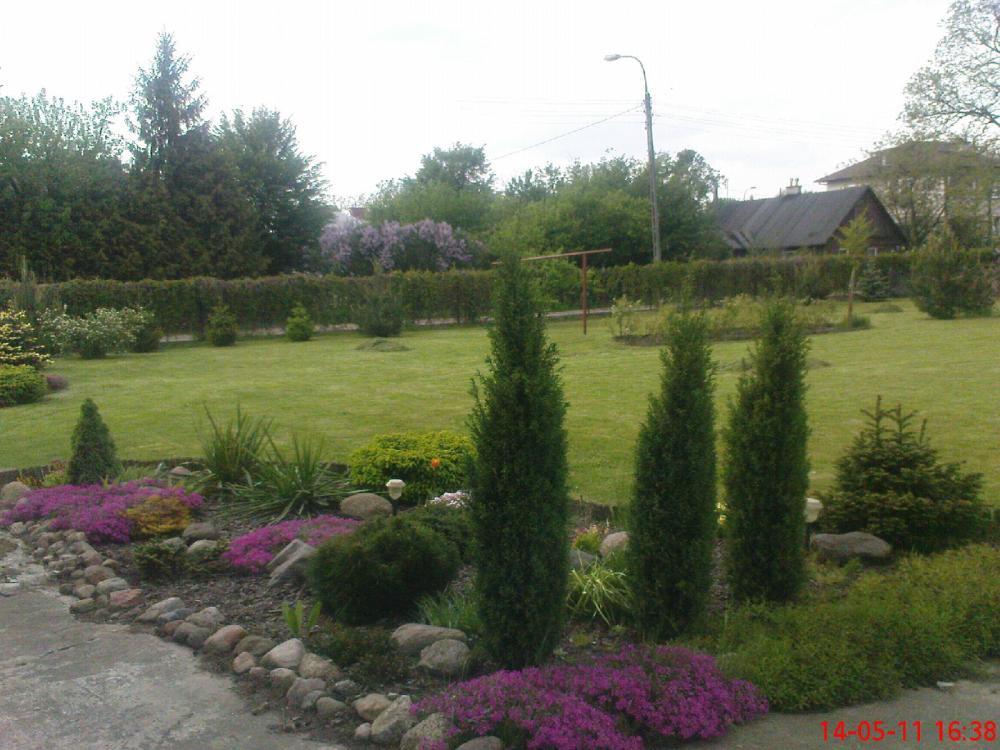 Maj w ogrodzie, zdjęcie 4