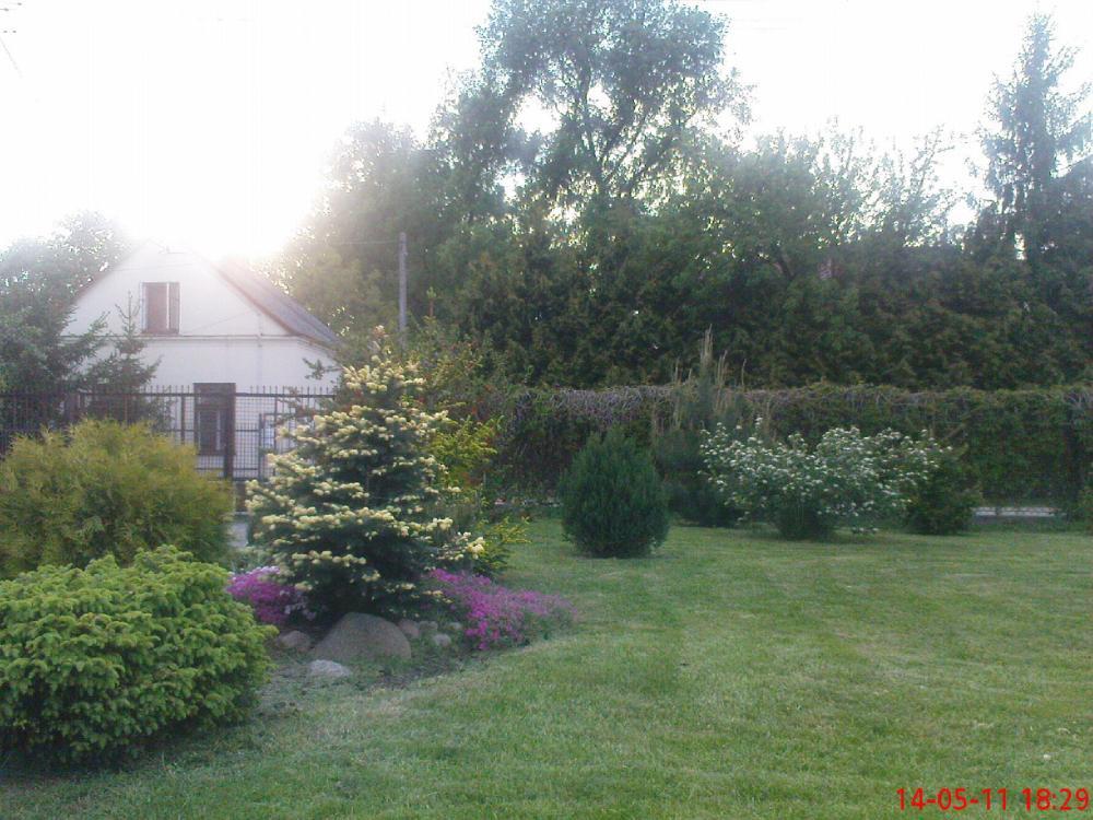 Maj w ogrodzie, zdjęcie 1