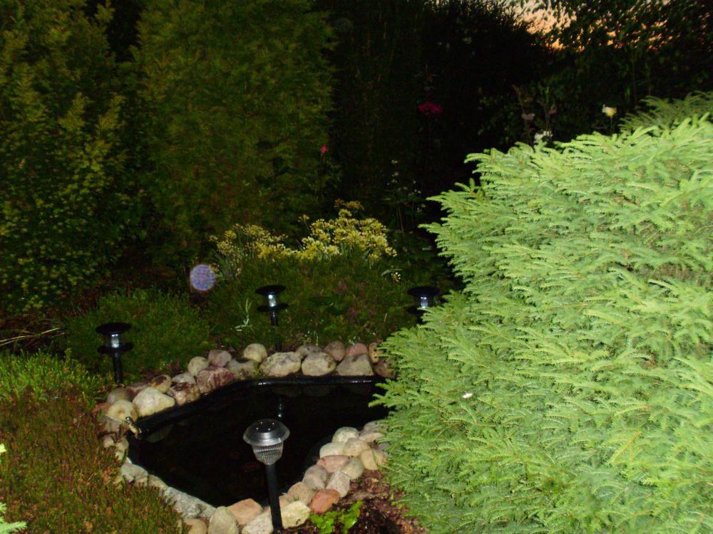 za miastem, zdjęcie 5