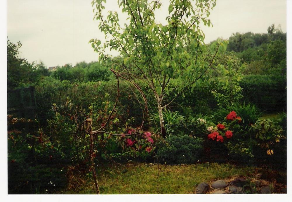 za miastem, zdjęcie 3