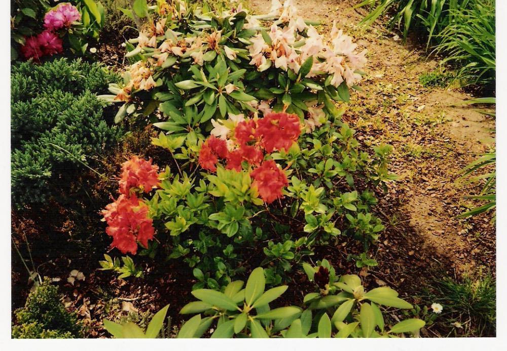 za miastem, zdjęcie 4