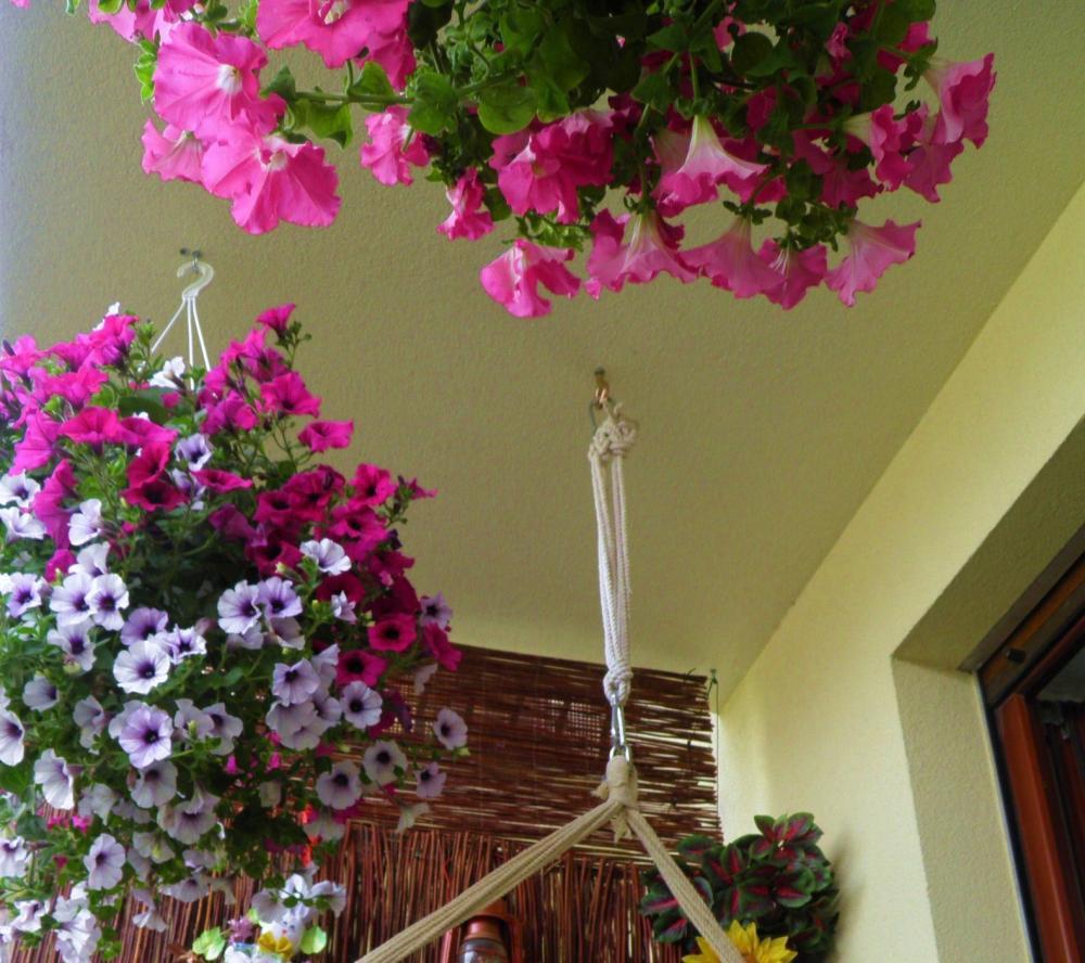 Nasz balkon i miejsce wyciszenia, zdjęcie 6