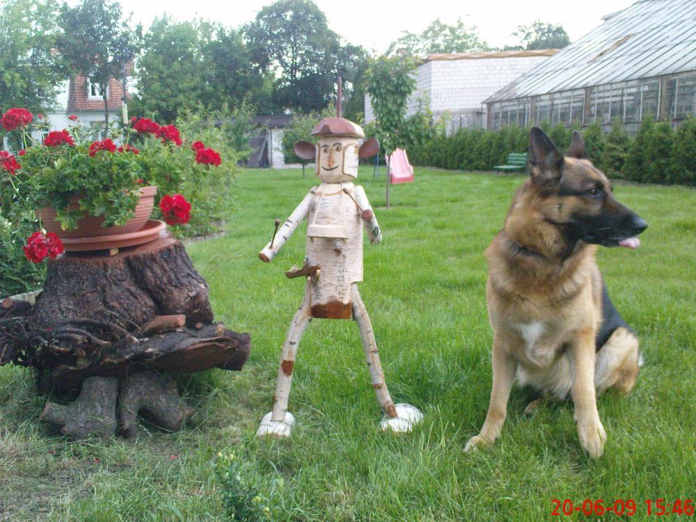 Moi znajomi z ogrodu (-:, zdjęcie 2