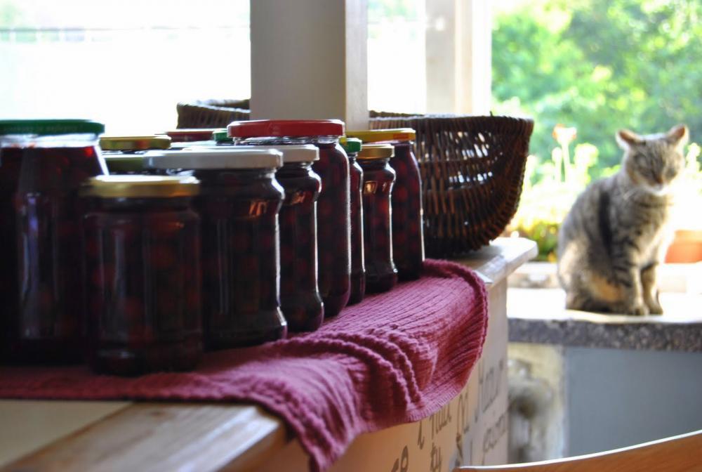 Optymistycznie ja-nowa-milnova, zdjęcie 9