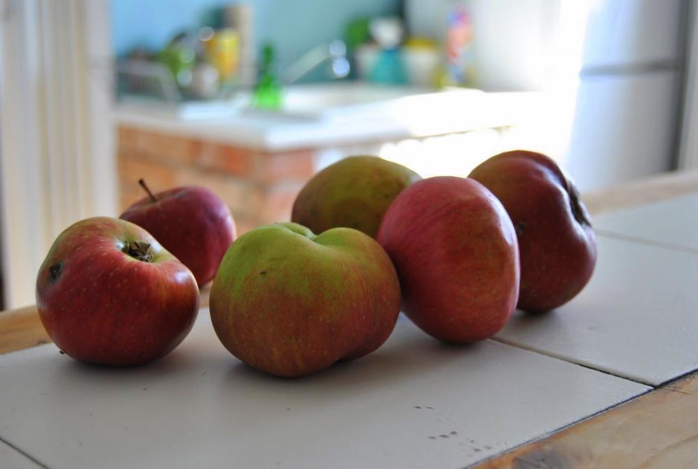 Optymistycznie ja-nowa-milnova, zdjęcie 12