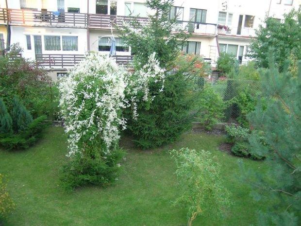 Mój ukochany ogródek, zdjęcie 39