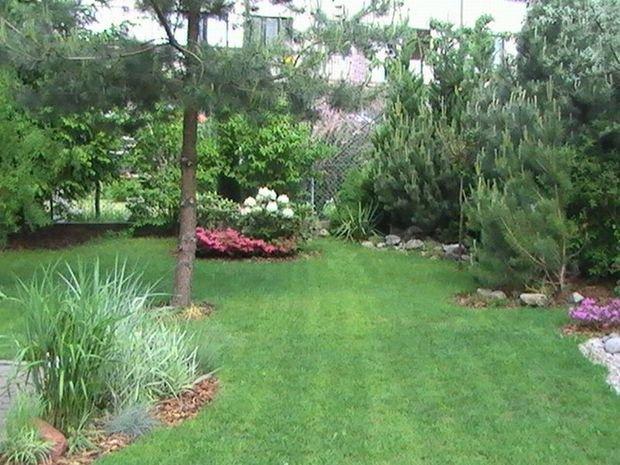 Mój ukochany ogródek, zdjęcie 21