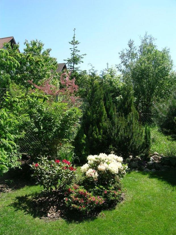 Mój ukochany ogródek, zdjęcie 38