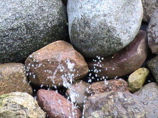 Mój ukochany ogródek, zdjęcie 2