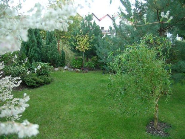 Mój ukochany ogródek, zdjęcie 15