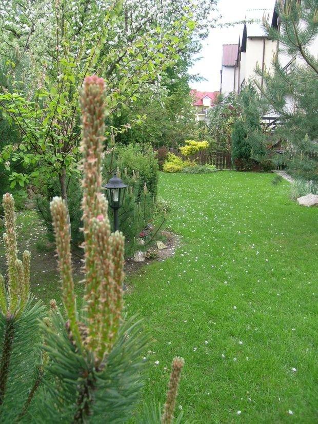 Mój ukochany ogródek, zdjęcie 34