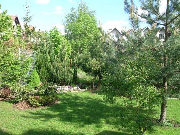 Mój ukochany ogródek, zdjęcie 23