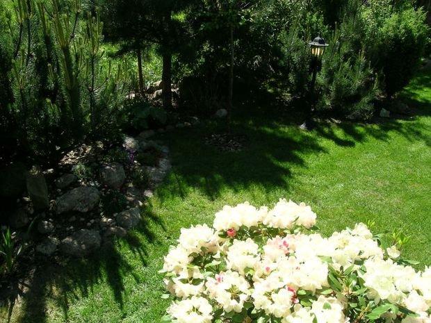 Mój ukochany ogródek, zdjęcie 17