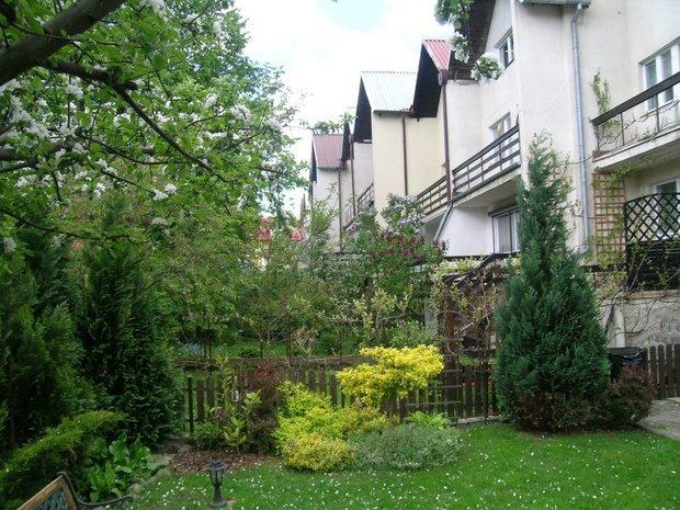 Mój ukochany ogródek, zdjęcie 3