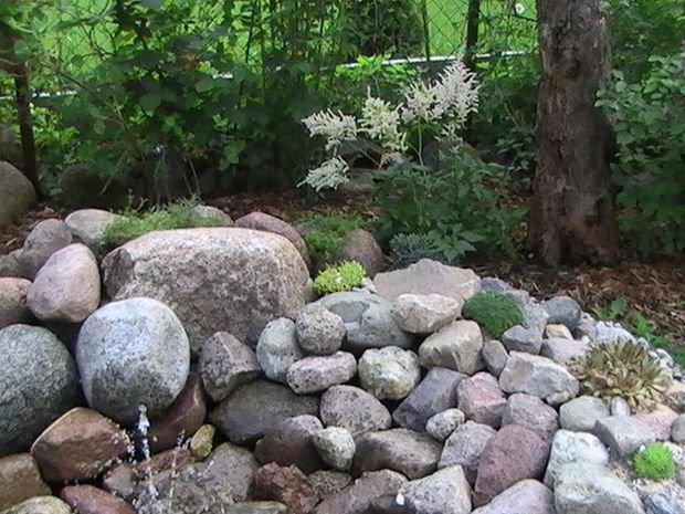 Mój ukochany ogródek, zdjęcie 30