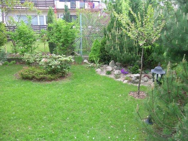 Mój ukochany ogródek, zdjęcie 33