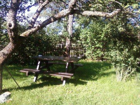 Kwiatki , zdjęcie 8