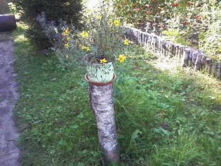 Kwiatki , zdjęcie 7