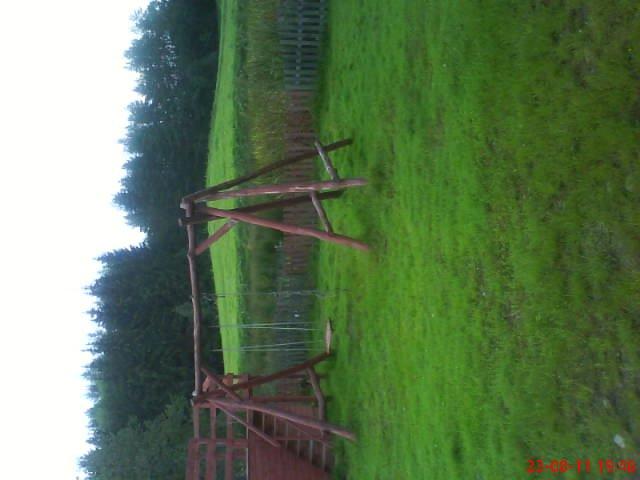 ogródek przy domu mojej narzeczonej, zdjęcie 15