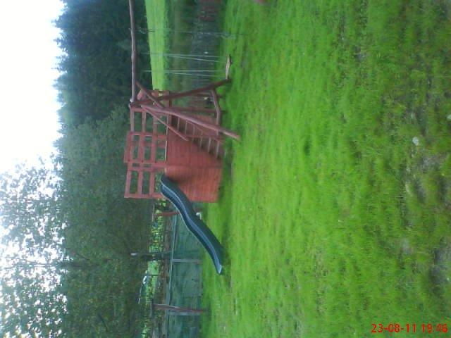 ogródek przy domu mojej narzeczonej, zdjęcie 14