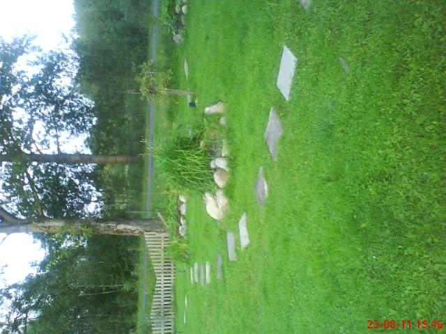 ogródek przy domu mojej narzeczonej, zdjęcie 12