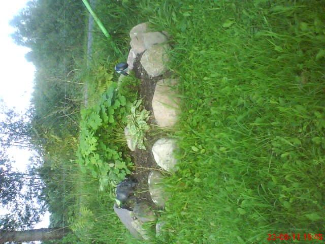 ogródek przy domu mojej narzeczonej, zdjęcie 9