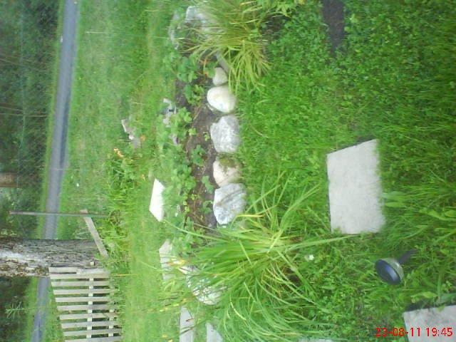 ogródek przy domu mojej narzeczonej, zdjęcie 6