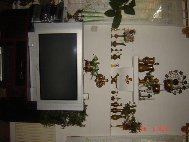 salon moich rodziców, zdjęcie 6