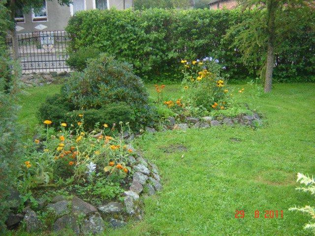 podwórko cd, zdjęcie 4