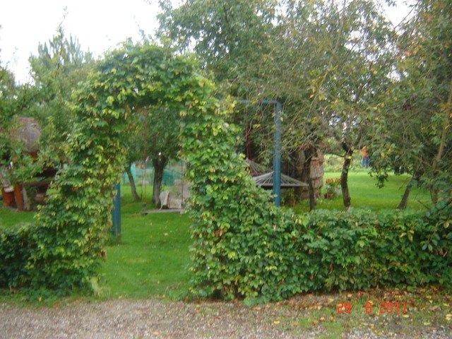 podwórko cd, zdjęcie 2