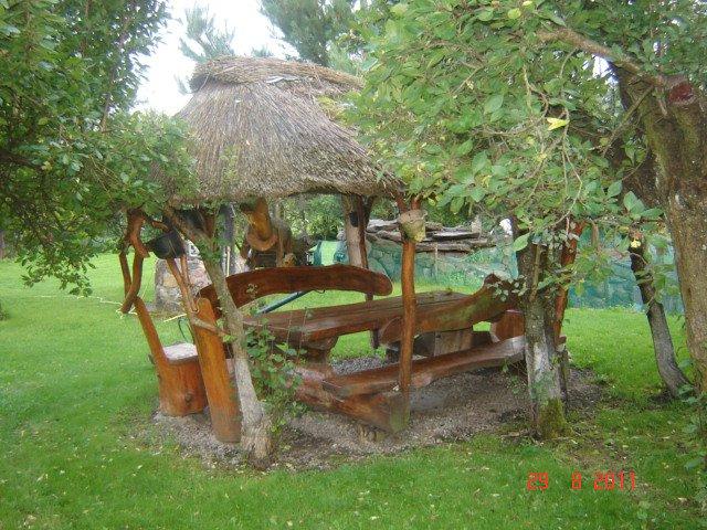 podwórko, klomby, ogródek, zdjęcie 2