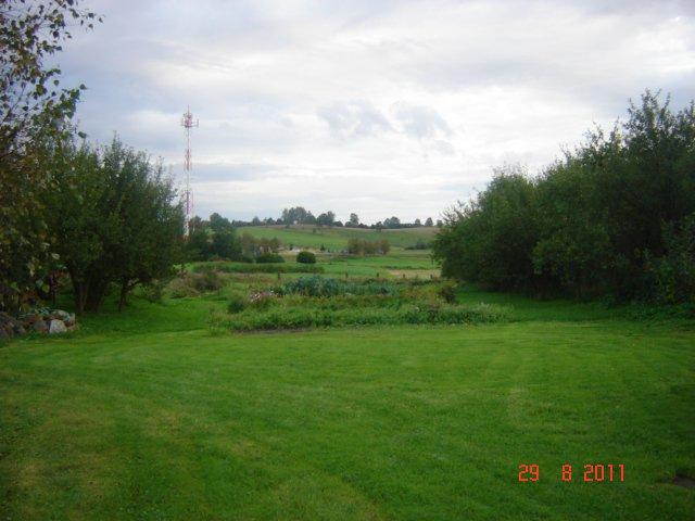 podwórko, klomby, ogródek, zdjęcie 4