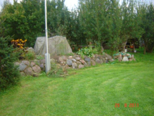 podwórko, klomby, ogródek, zdjęcie 5