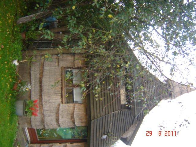 domek :), zdjęcie 2