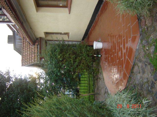 przed domem, zdjęcie 1