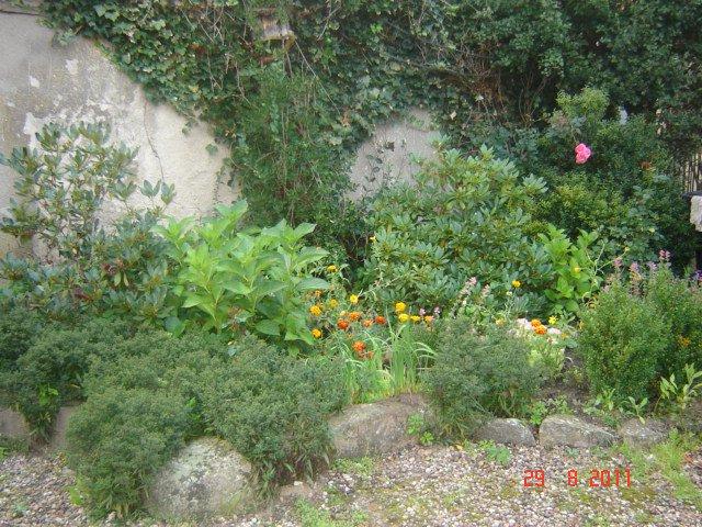 podwórko cdn :), zdjęcie 1