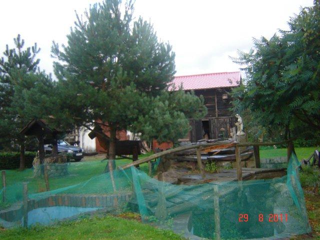 podwórko cdn :), zdjęcie 2