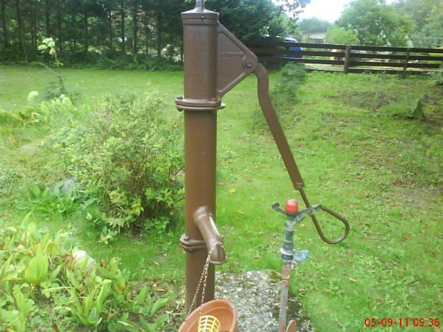 ogródek przy domu moich znajomych część druga, zdjęcie 6