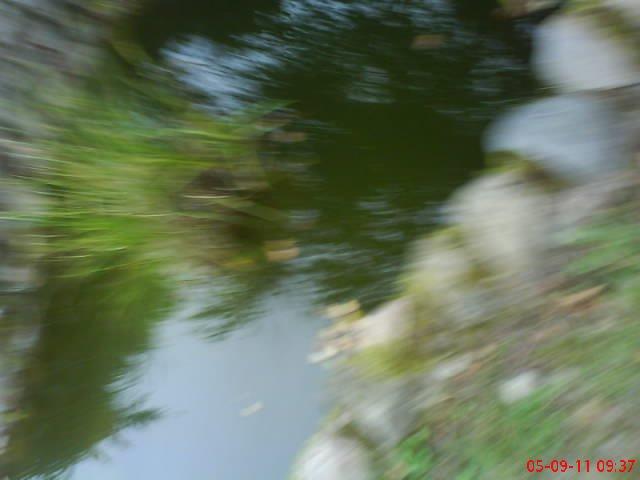 ogródek przy domu moich znajomych część druga, zdjęcie 11