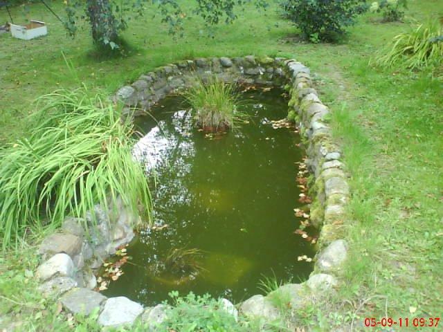 ogródek przy domu moich znajomych część druga, zdjęcie 3