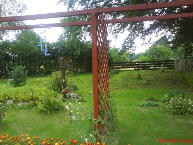 ogródek kwiatowy przy domu moich znajomych część pierwsza:>, zdjęcie 14