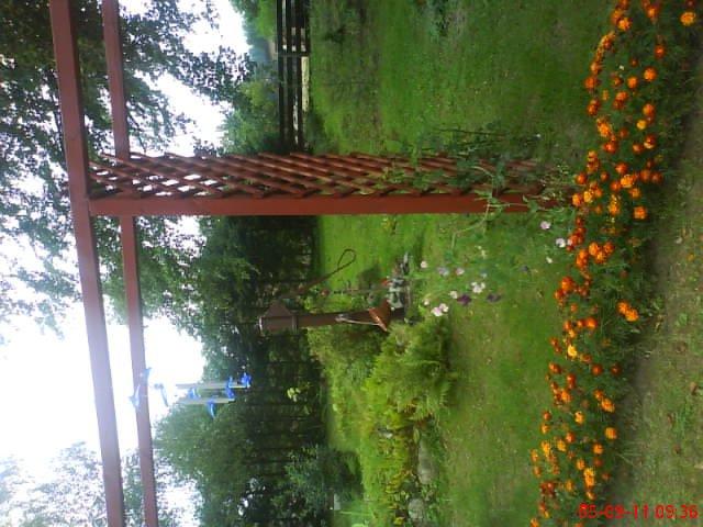 ogródek kwiatowy przy domu moich znajomych część pierwsza:>, zdjęcie 15