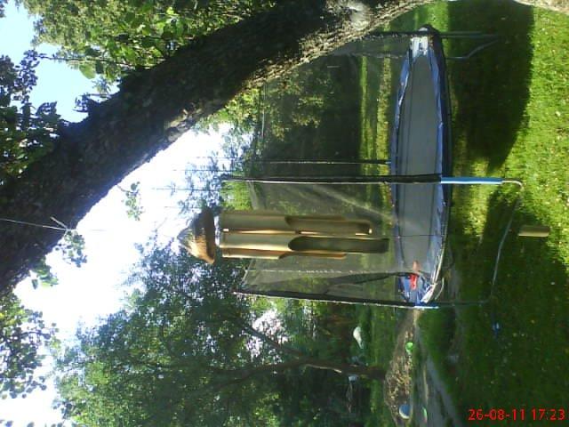 ogródeczek u moich teściów, zdjęcie 11