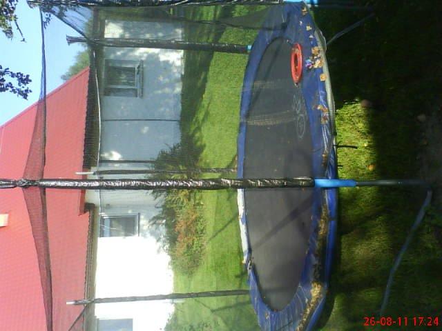 ogródeczek u moich teściów, zdjęcie 4