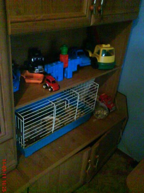 pokój fana SPIDERMANA, zdjęcie 1