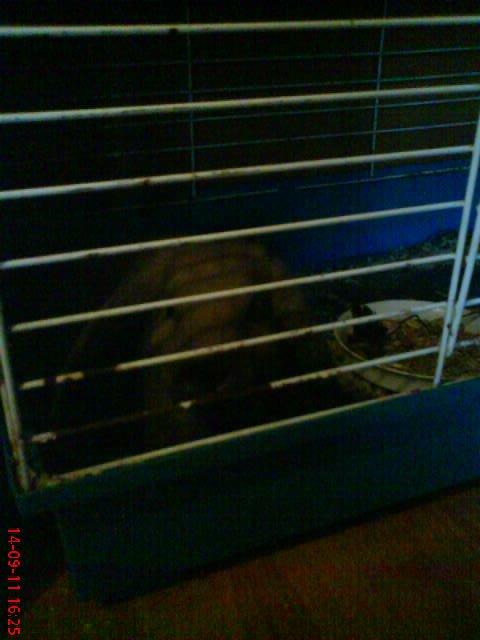 pokój fana SPIDERMANA, zdjęcie 4