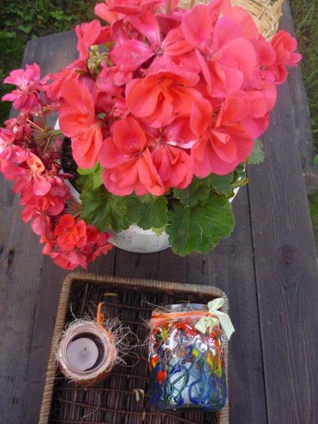 różowa szata jesieni, zdjęcie 6